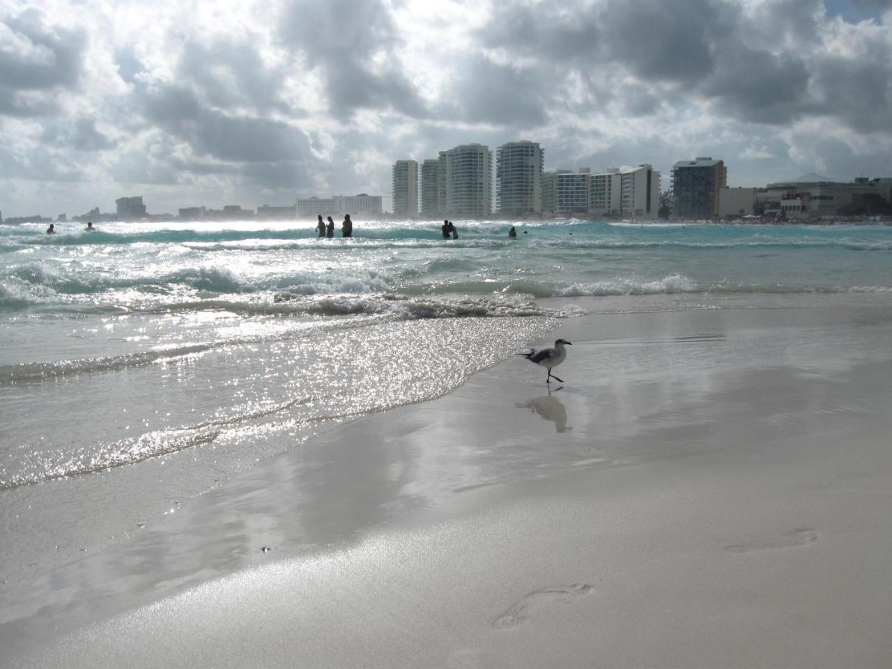 1 Bedroom Seaview Condo In Ocean Dream Resort Cancun Dış mekan fotoğraf